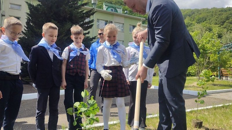 Первый в России питомник реликтовых и субтропических растений открыли в Туапсе