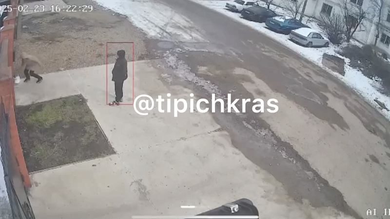 Маленькие воришки стащили пакет с продуктами у женщины с младенцем в Краснодаре