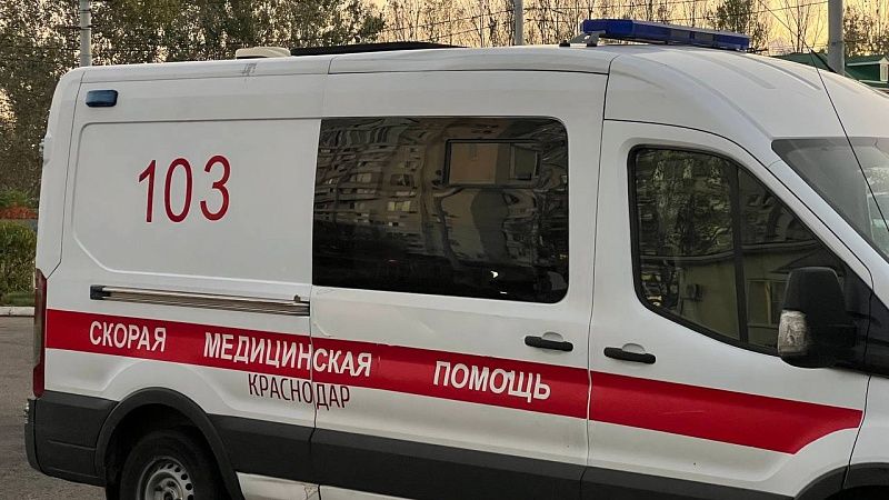 Мальчика с покусанным собаками лицом доставили санавиацией в Краснодар