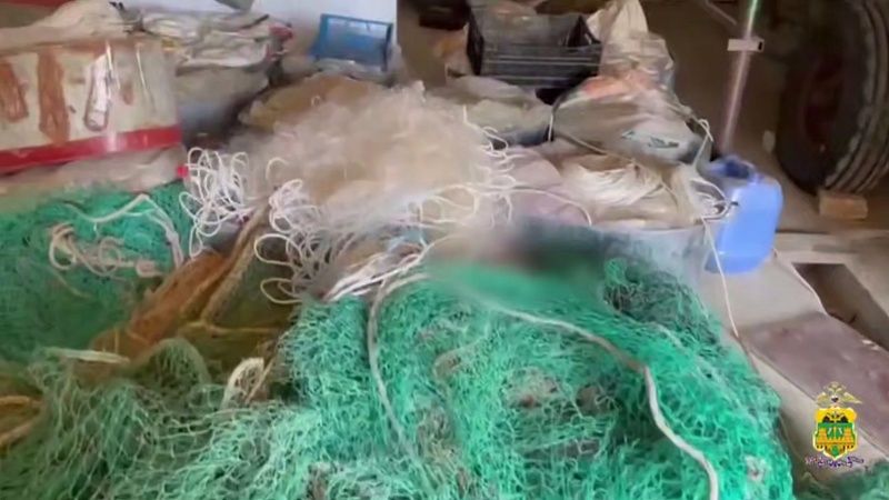 Более 25 тонн незаконной рыбы изъяли в ходе операции «Путина-2025» на Кубани