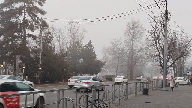 Туман и до +18 градусов ожидается 25 марта в Краснодаре