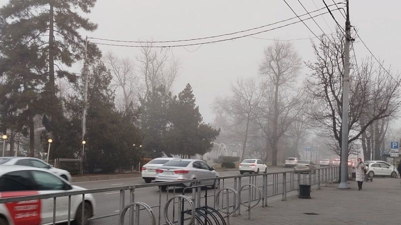 Туман и до +18 градусов ожидается 25 марта в Краснодаре