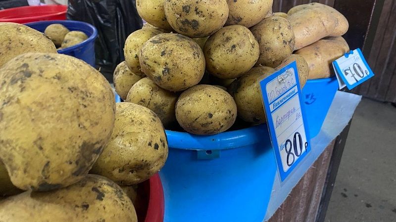Цена картофеля выросла на 15% за месяц в Новороссийске