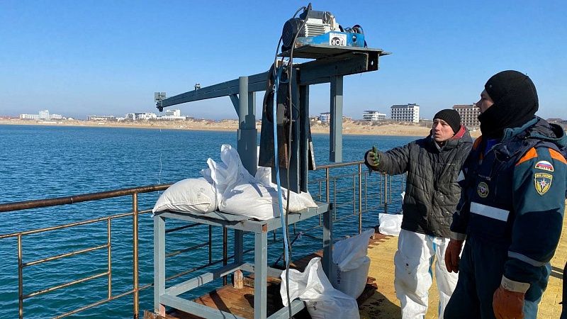 С морского дна подняли более 280 мешков мазута в Анапе 26 февраля
