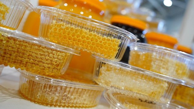 Фото: телеканал «Краснодар»