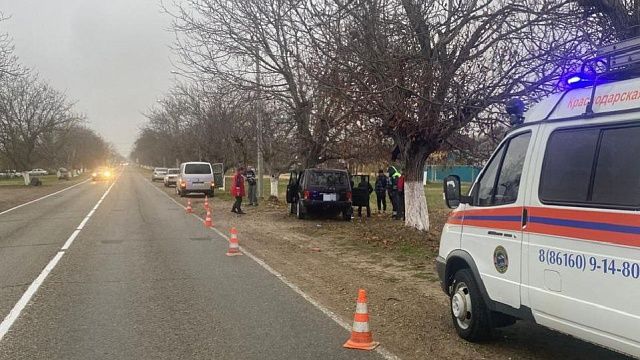 Авто-леди пострадала после столкновения с автомобилем и деревом на Кубани 