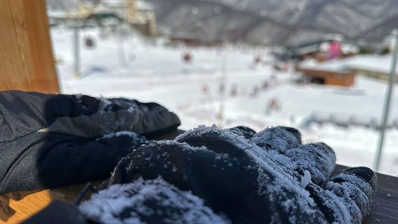 Лыжницу Масип вместе с собакой накрыло лавиной на горе в Андорре