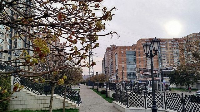 Фото: телеканал «Краснодар»