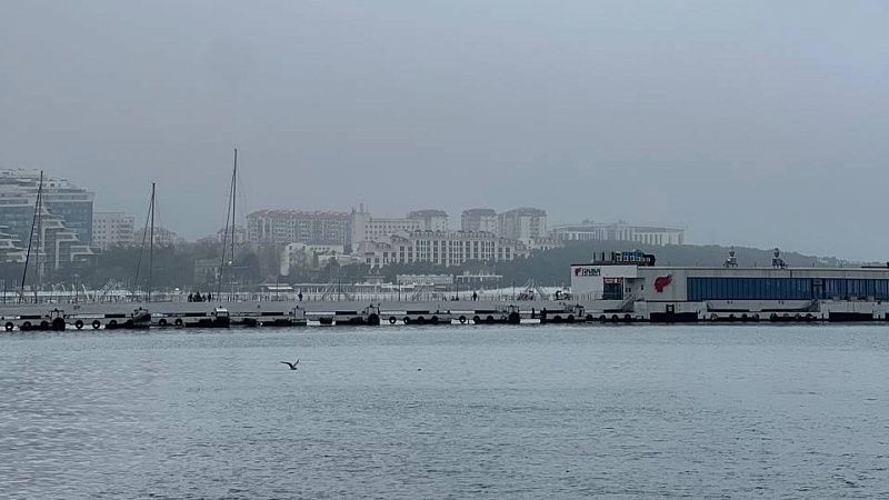 На конец года перенесли открытие первого в мире винного города в Геленджике 