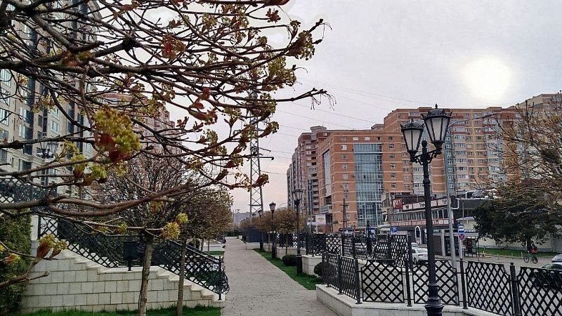 Резкое потепление до +16 градусов наступит в Краснодаре