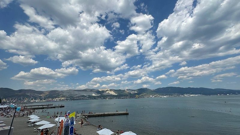 Учения по защите от дронов и БЭК проведут 18 августа в Новороссийске