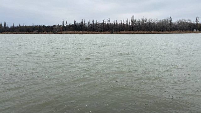 Фото: телеканал «Краснодар» 