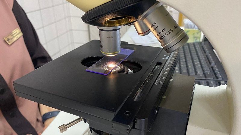 Бюджетное и доступное лекарство от рака разработали ученые из Китая