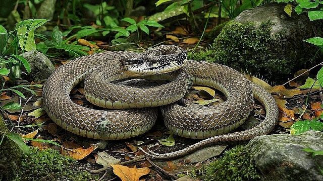 Изображение создано при помощи ИИ