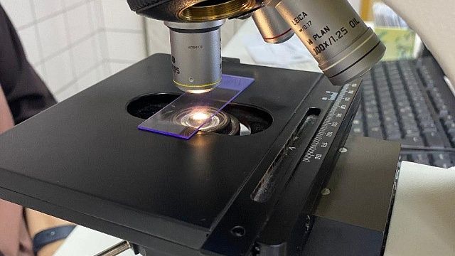 Фото: телеканал «Краснодар»