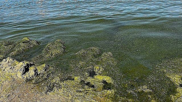 Фото: телеканал «Краснодар»