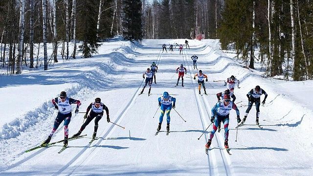 Лыжник Ардашев победил в классической «разделке» на этапе Кубка России