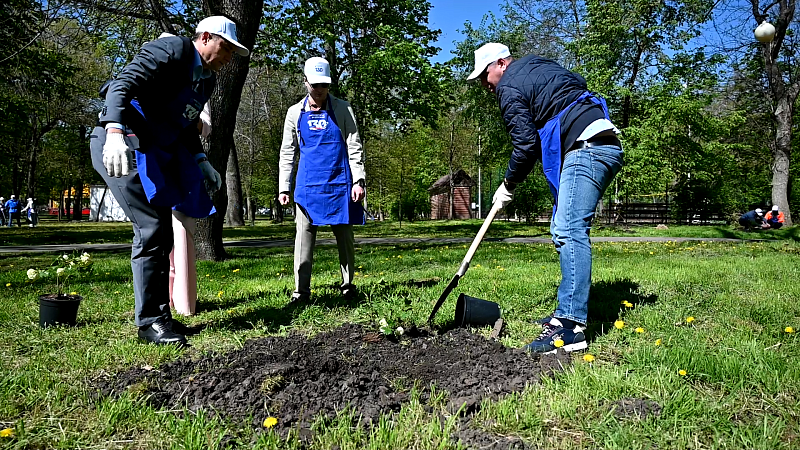 Сотрудники Росводоканала высадили аллею к 80-летию Победы в Краснодаре