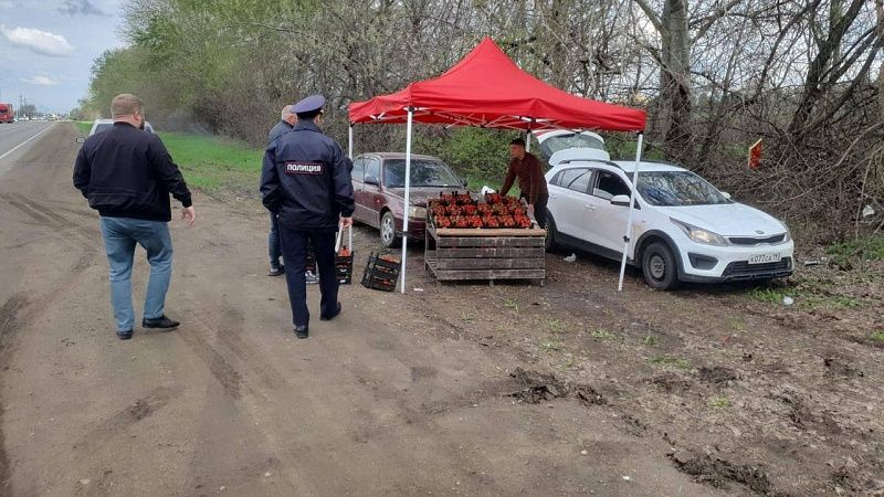 Свыше 1100 случаев торговли без разрешения выявили с начала года в Краснодаре