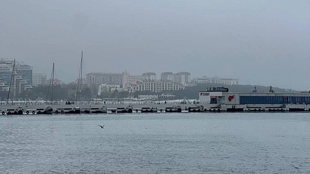 Причины неприятного запаха объяснили власти Геленджика 