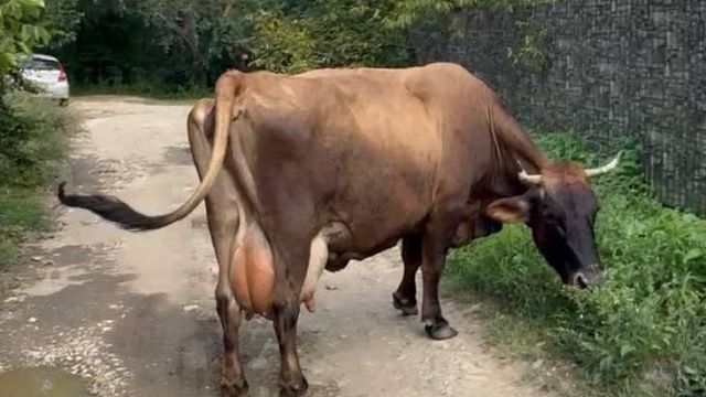 Фото: телеканал «Краснодар»