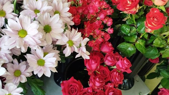 Фото: телеканал «Краснодар» 