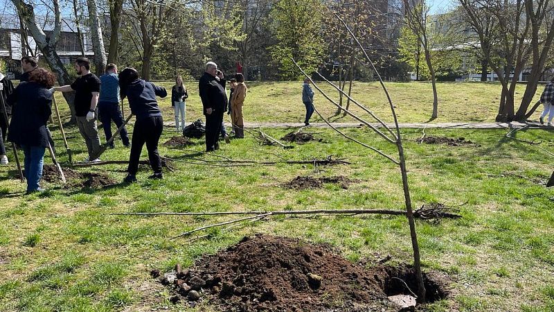 Более 550 тысяч кубанцев отдали свои голоса за зеленые зоны для благоустройства