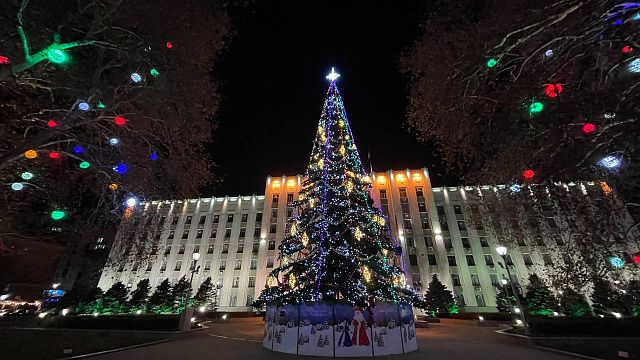 Новогодняя ёлка у здания администрации Краснодарского края. Фото: телеканал «Краснодар»