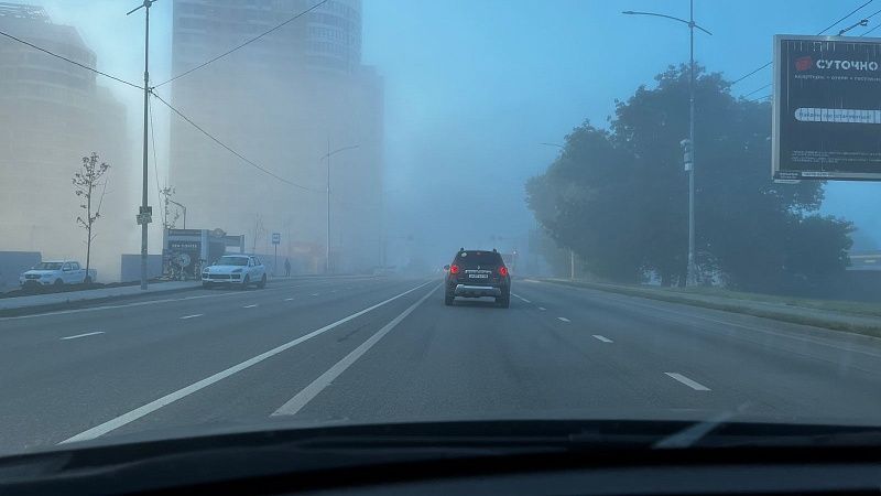 И даже лапы не видно: утром 12 ноября на Краснодар опустится густой туман