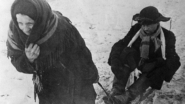 19 января 1944 года – взятие Красного Села и хлебные карточки. Хроника блокадного Ленинграда
