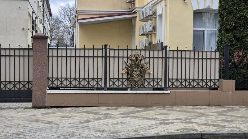 Бастрыкин потребовал доклад по делу о ненадлежащем оказании медуслуг на Сахалине