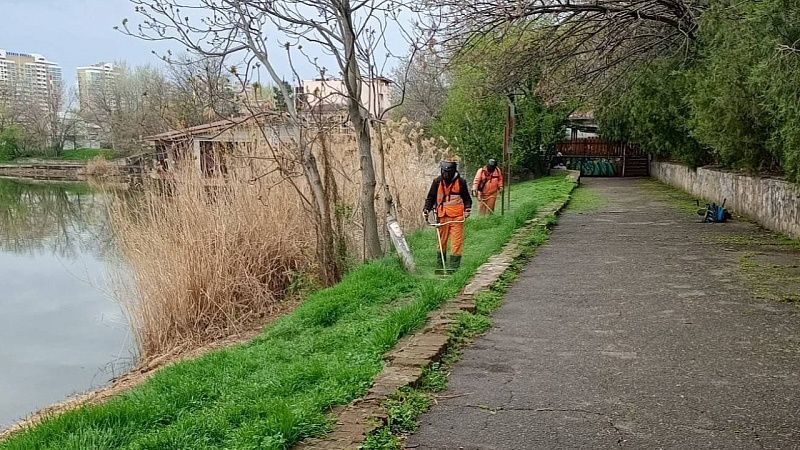 Почти 2,5 тысячи гектаров сорняка выкосили в Краснодаре