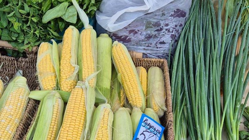 Цены на ярмарках проверил мэр Сочи