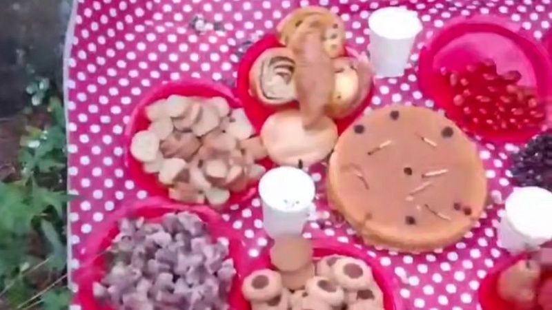 Сырые сердца и пироги заметили на накрытой скатерти в лесу Московской области