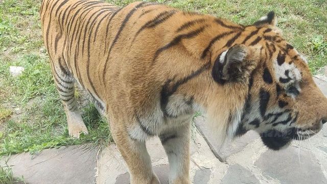 Фото: телеканал «Краснодар»