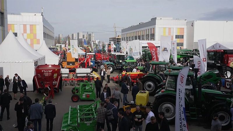 Неделя в Краснодаре 22.11.25: Главные новинки выставки «ЮГАГРО». Новые деревья в Краснодаре.