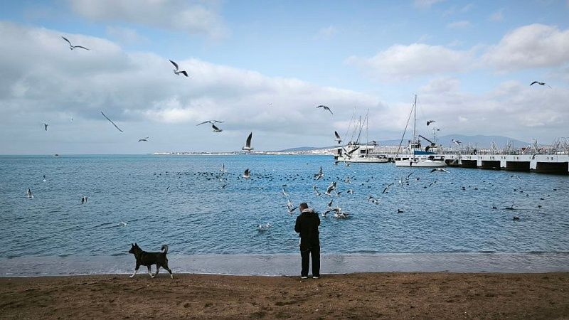 На отсутствие интернета пожаловались жители Геленджика
