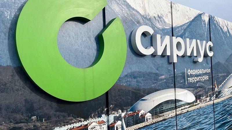 Выпускники Сириуса стали лидерами Международной ̀олимпиады по химии в Бразилии