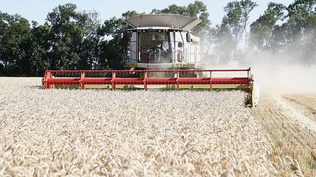 Аграрии Кубани увеличат площадь весеннего сева экспортно-ориентированных культур: сои, зернового гороха и сахарной свеклы