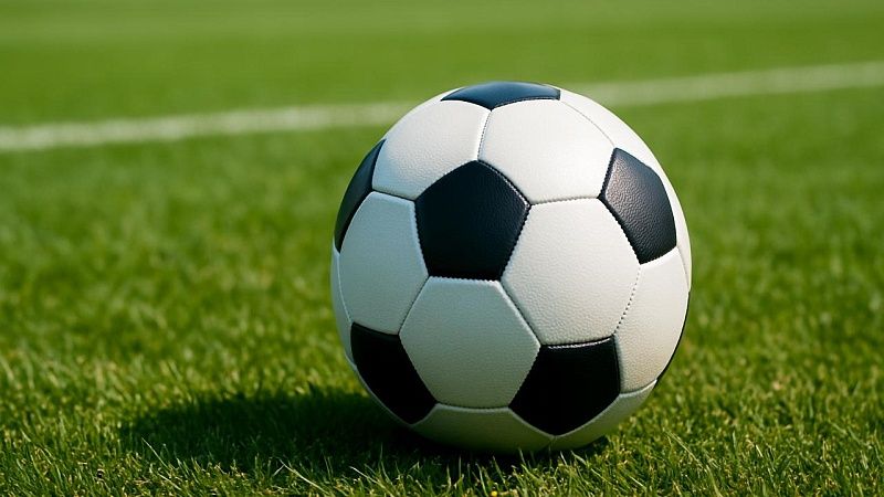 Спартак Гогниев едва не сорвал матч Второй лиги из-за спорного пенальти