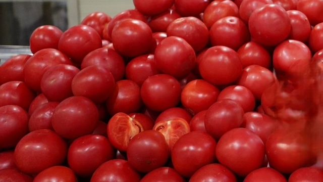 Фото: телеканал «Краснодар»