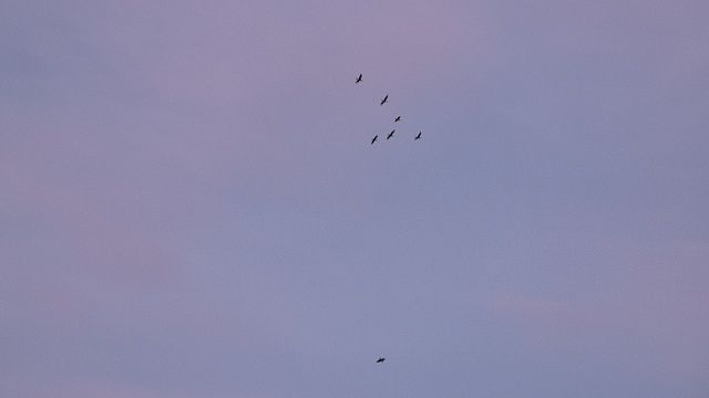 Фото: телеканал «Краснодар»