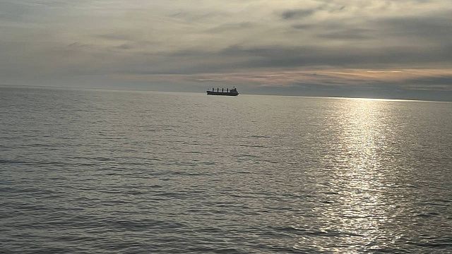 Перевозивший 2000 тонн зерна сухогруз сел на мель в Волгоградской области