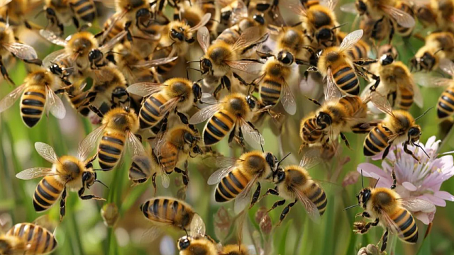 Изображение создано с помощью ИИ