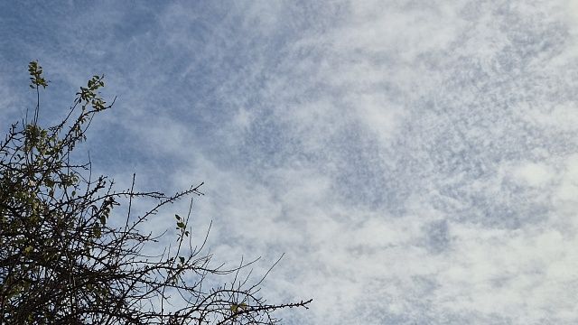 Фото: телеканал «Краснодар»