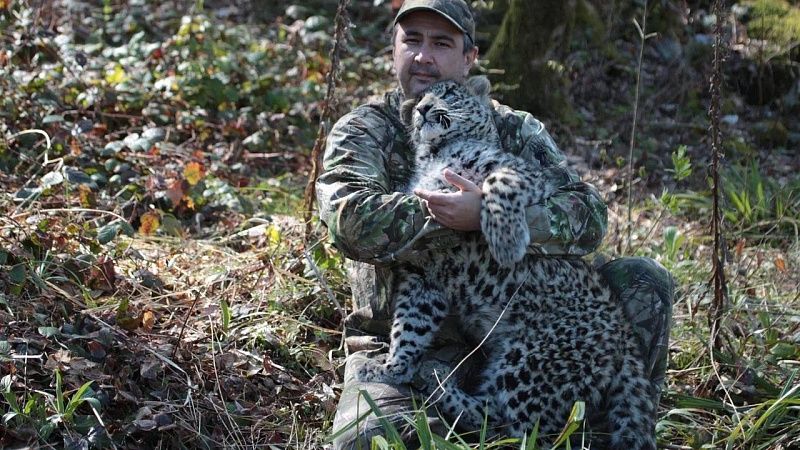 Центру леопарда в Сочи присвоили имя первого директора Умара Семенова