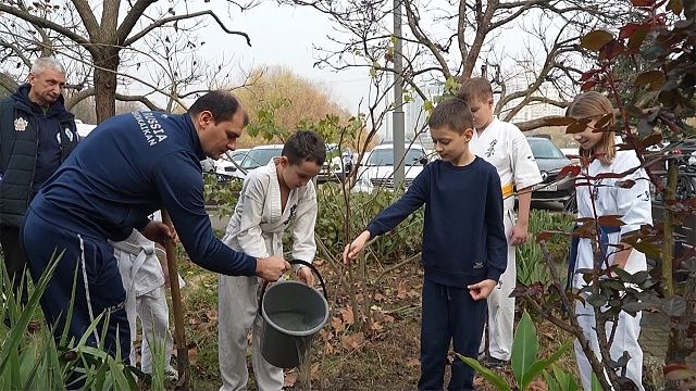 5 лет Центру управления регионом, высадка деревьев в Краснодаре. Новости 26 ноября