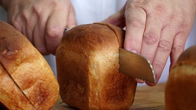 Фото: телеканал «Краснодар»