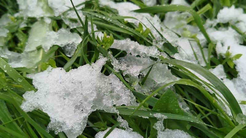 Уроженец Краснодара актер Масленников показал заснеженное Подмосковье 1 мая