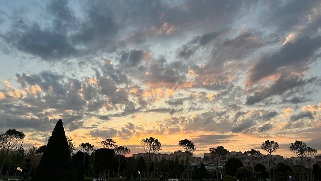 Фото: телеканал «Краснодар»